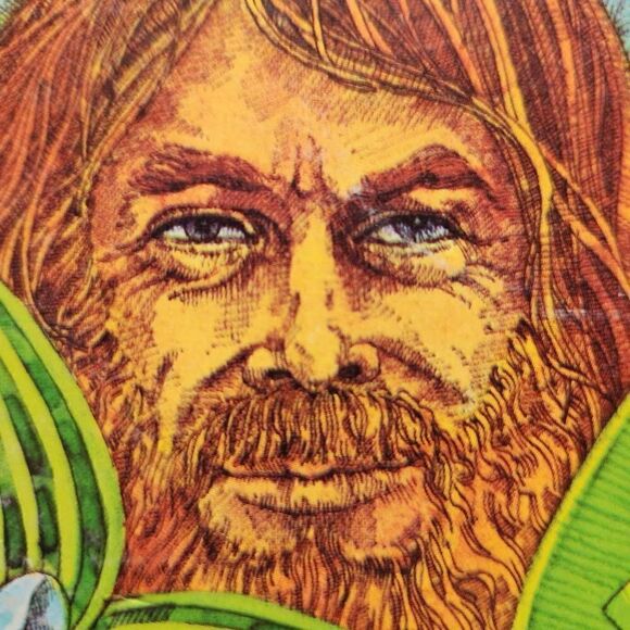 Beach boys endless Summer Capitol records vinyl vintage 60s folk pop rock - Picture 3 of 10